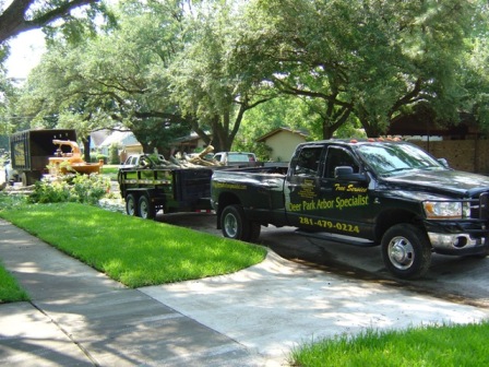 Deer Park Arbor Specialist